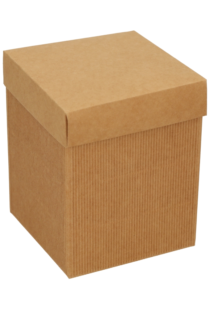 Kadodoos Dozza Met Deksel Naturel 431gram 12x12x15cm 10stuks