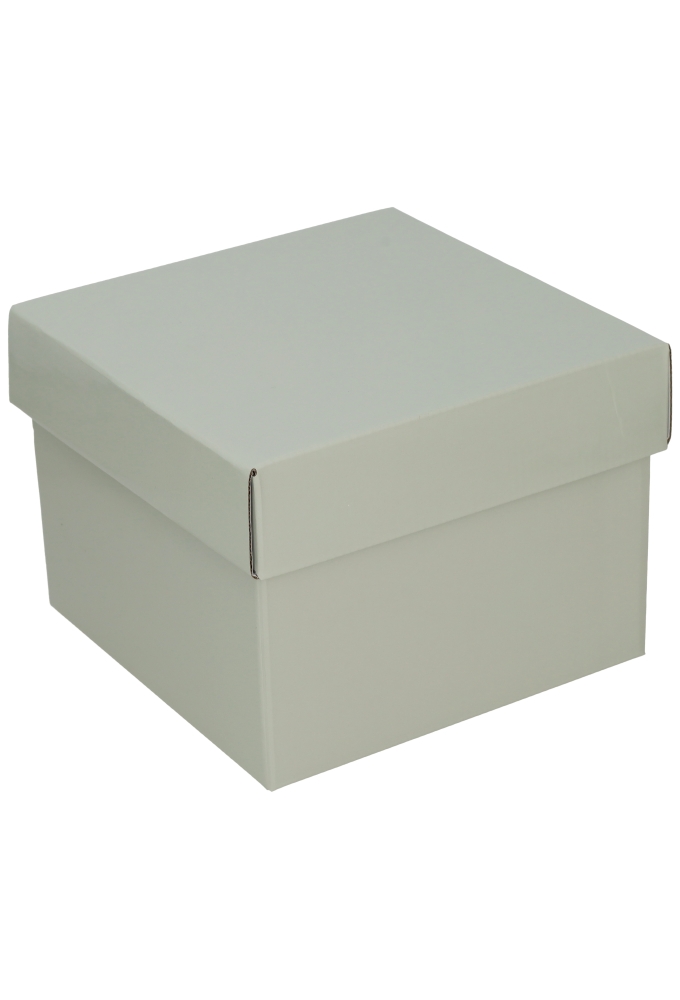 AKTIE Luxe Geschenkdoos Torino Grijs Glossy FSC 20x20x15cm 19 stuks