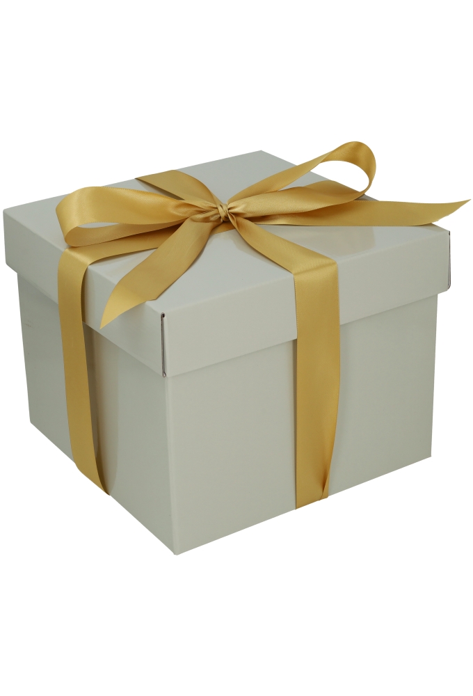 AKTIE Luxe Geschenkdoos Torino Grijs Glossy FSC® 25x25x20cm 19stuks