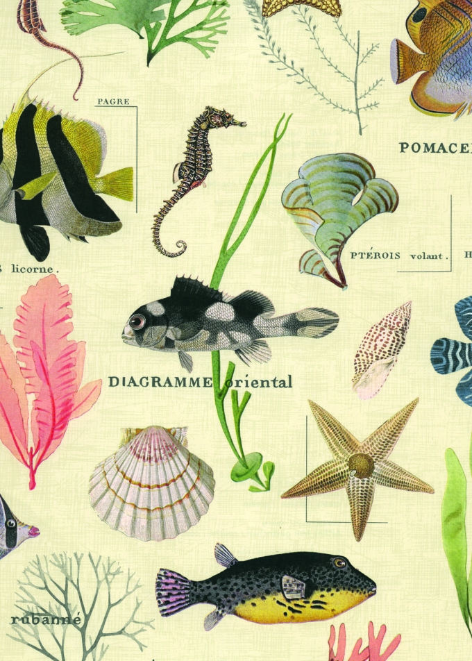 Geschenkpapier Artline Mat Glad Sansibar 90gr 30cm x 200meter