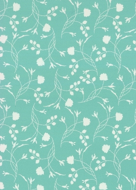 Geschenkpapier Eco Nature Wit Erba Salie 80gr 30cm x 200meter