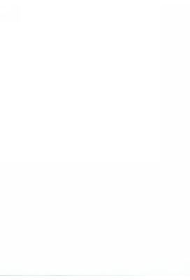 Geschenkpapier Glossy Wit  80gr 30cm x 200meter