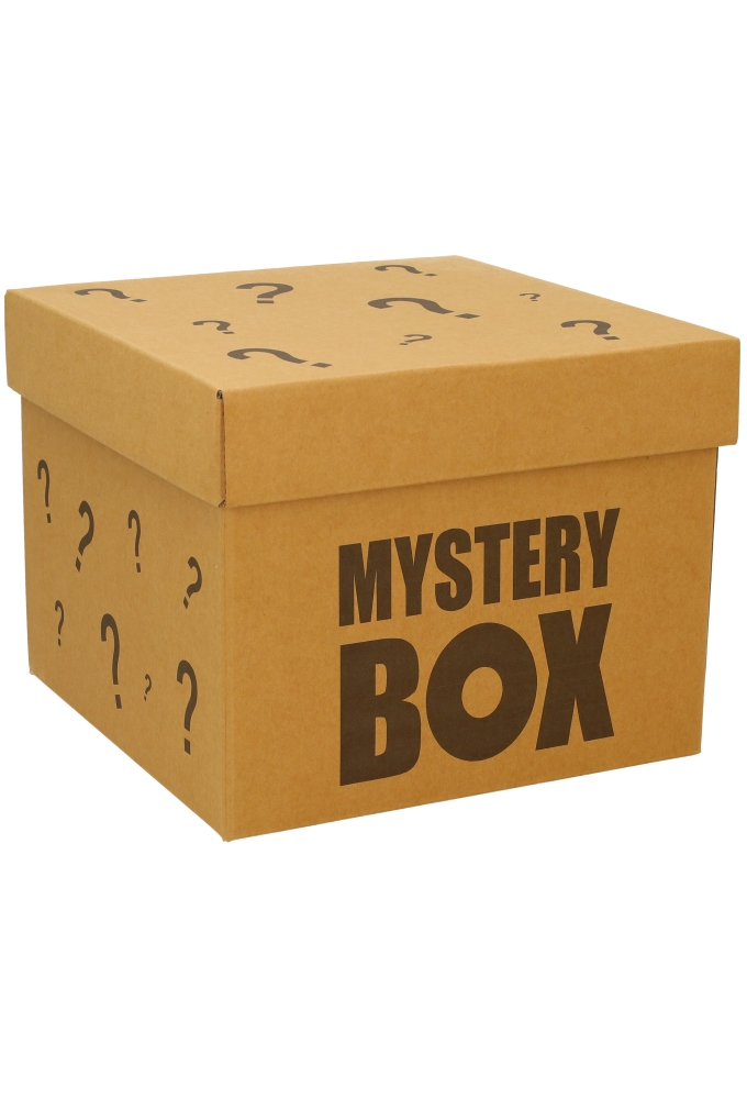 Geschenkdoos Torino Kraft Mystery Box 25x25x20cm 20stuks