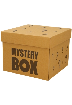Geschenkdoos Torino Kraft Mystery Box 25x25x20cm 20stuks