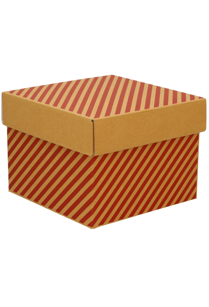 Geschenkdoos Torino Kraft Lines 20x20x15cm 20stuks