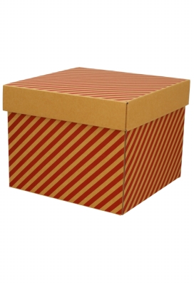 Geschenkdoos Torino Kraft Lines 25x25x20cm 20stuks