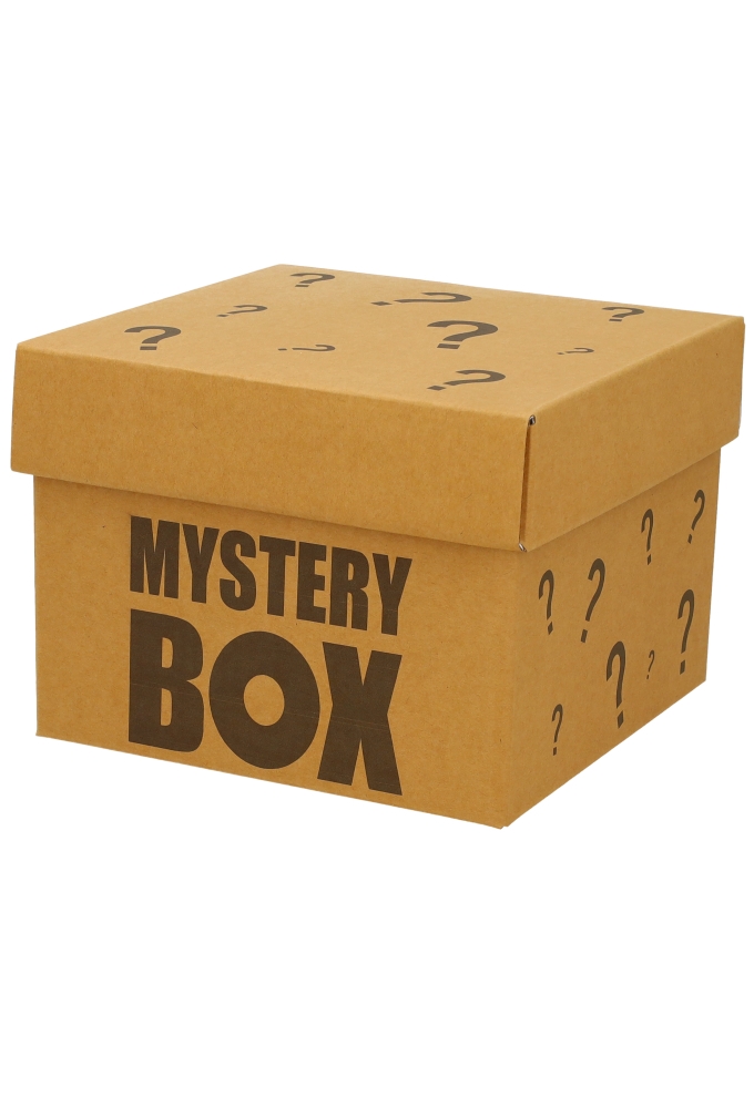 Geschenkdoos Torino Kraft Mystery Box 20x20x15cm 20stuks