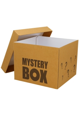 Geschenkdoos Torino Kraft Mystery Box 25x25x20cm 20stuks