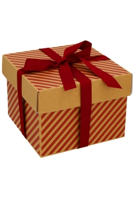 Geschenkdoos Torino Kraft Lines 20x20x15cm 20stuks