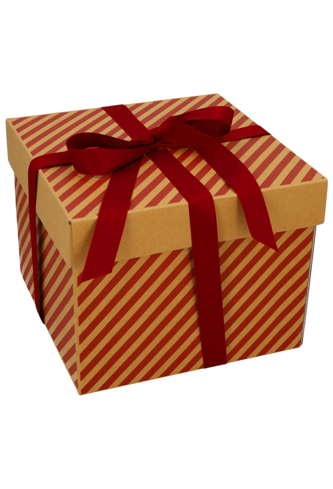 Geschenkdoos Torino Kraft Lines 25x25x20cm 20stuks