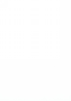 Geschenkpapier Glossy Wit  80gr 70cm x 200meter