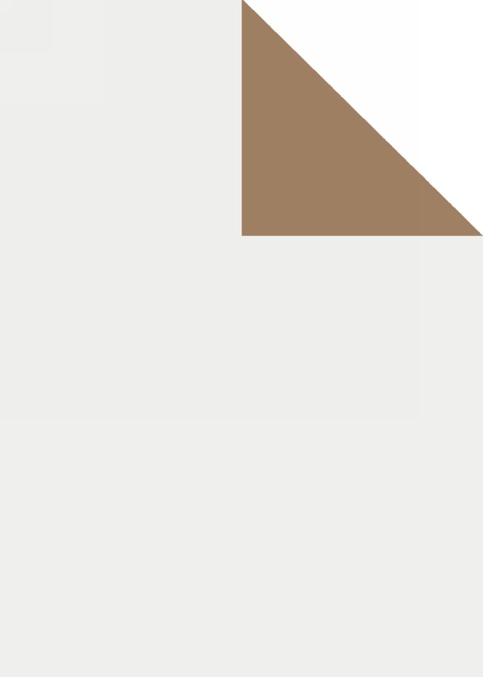 Geschenkpapier Uni Artline Mat Glad Wit En koper 90gr 70cm x 200meter