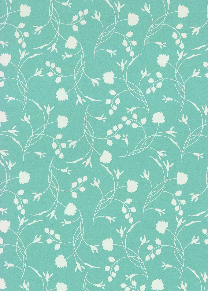 Geschenkpapier Eco Nature Wit Erba Salie 80gr 50cm x 200meter