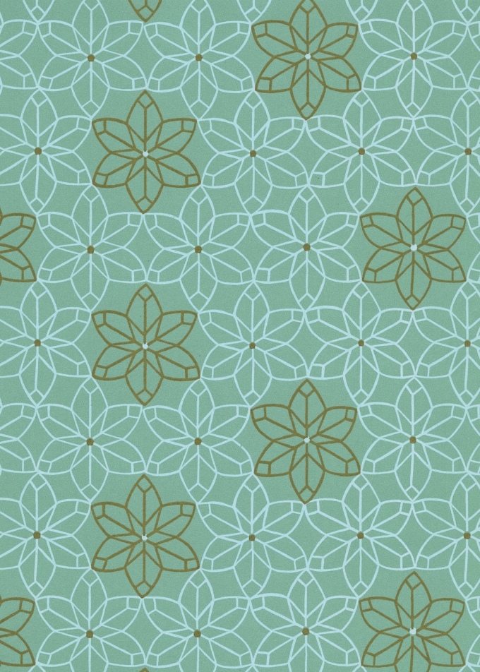 Kerstpapier Eco Nature Wit Aciano Salie 80gr 50cm x 200meter