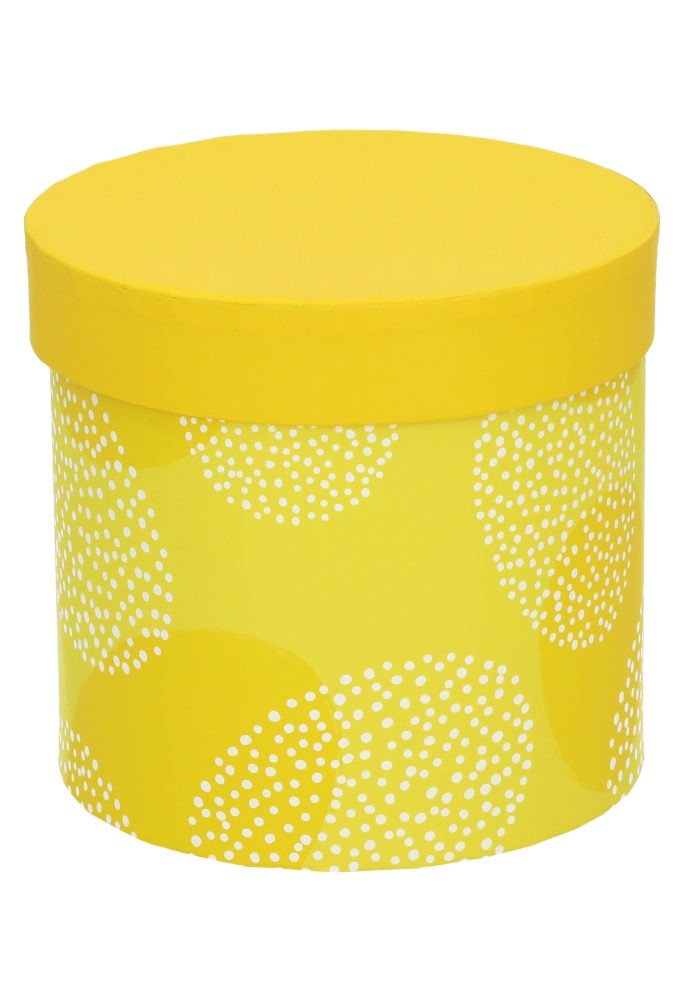 Paasdoosje Paasei Wit Geel Met Deksel 12.5x12cm 1stuks