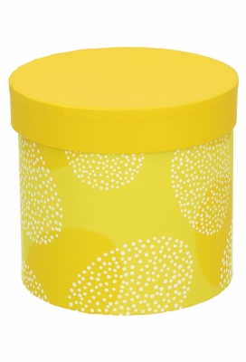 Paasdoosje Paasei Wit Geel Met Deksel 12.5x12cm 1stuks