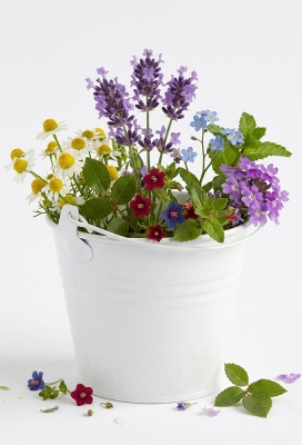 Blikken Emmertje Wit Rond Met Hengsel r11x8.5cm 1stuks