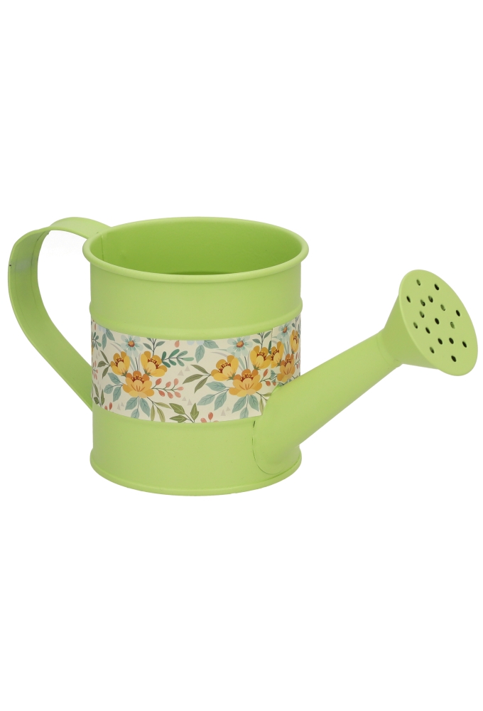 Blikken Gieter Groen Met Hengsel r8x8.5cm 1stuks