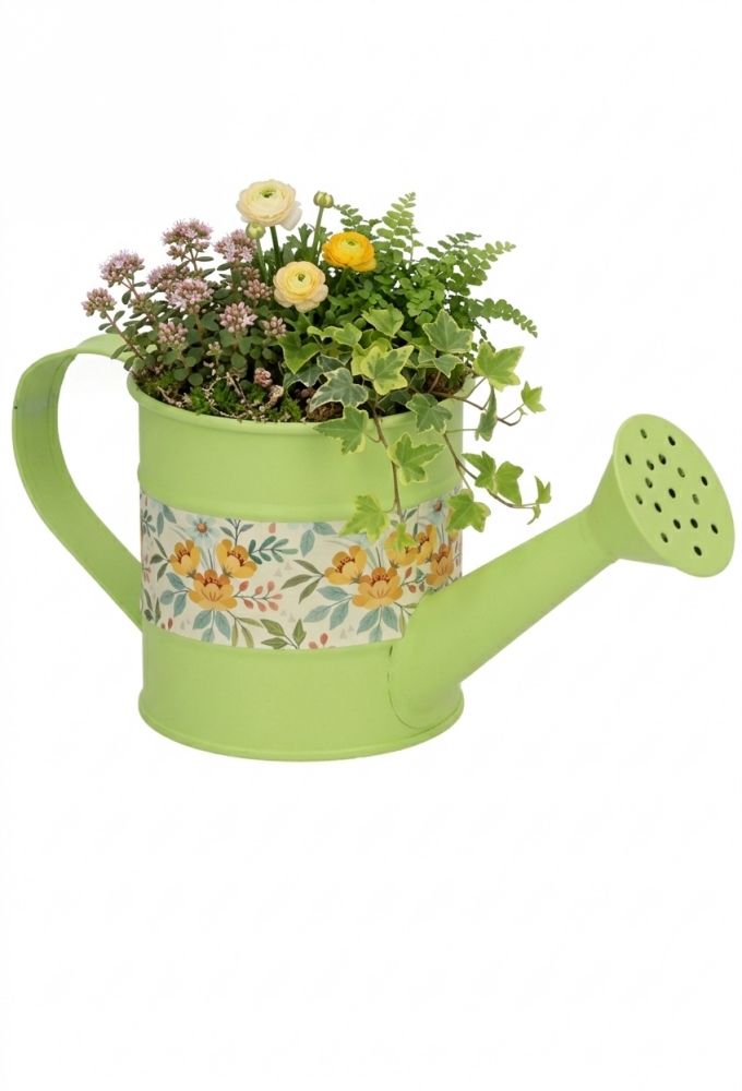 Blikken Gieter Groen Met Hengsel r8x8.5cm 1stuks