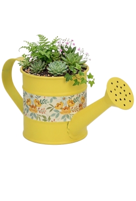 Blikken Gieter Geel Met Hengsel r8x8.5cm 1stuks