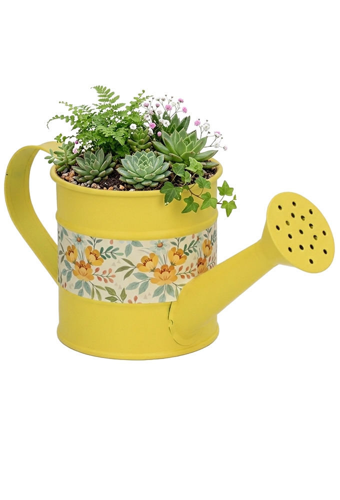 Blikken Gieter Geel Met Hengsel r8x8.5cm 1stuks