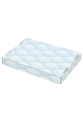 Brievenbusdoos Jij Bent Onze Zorgtopper Flow Blauw A5 22x16x2.8cm 10st