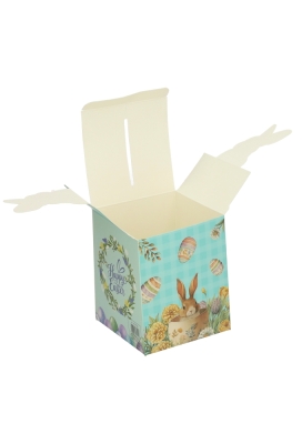 Paasdoosje Haasje Uit Het Doosje 9x9x11cm 12stuks