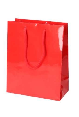 Kadotajes Rome Uni Rood Glanzend Met Koord 20x10x25cm 10stuks Kadotajes Rome Uni Rood Glanzend Met Koord 20x10x25cm 10stuks