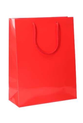 Kadotajes Rome Uni Rood Glanzend Met Koord 28x12x36cm 10stuks Kadotajes Rome Uni Rood Glanzend Met Koord 28x12x36cm 10stuks