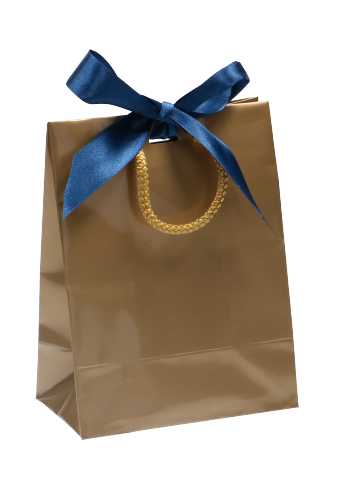 Kadotasje Sora Goud Glans & Koord & Lintgleuf 15x9x20cm 10stuks