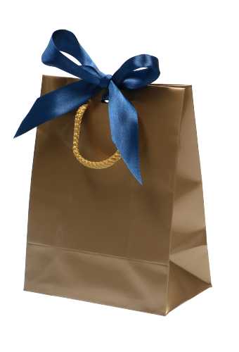 Kadotasje Sora Goud Glans & Koord & Lintgleuf 15x9x20cm 10stuks