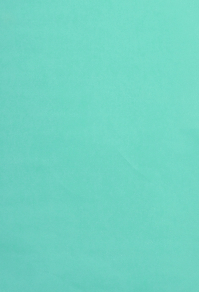 Zijdevloei - Vloeipapier Onbedrukt Zee Groen 50x70cm 100 vellen