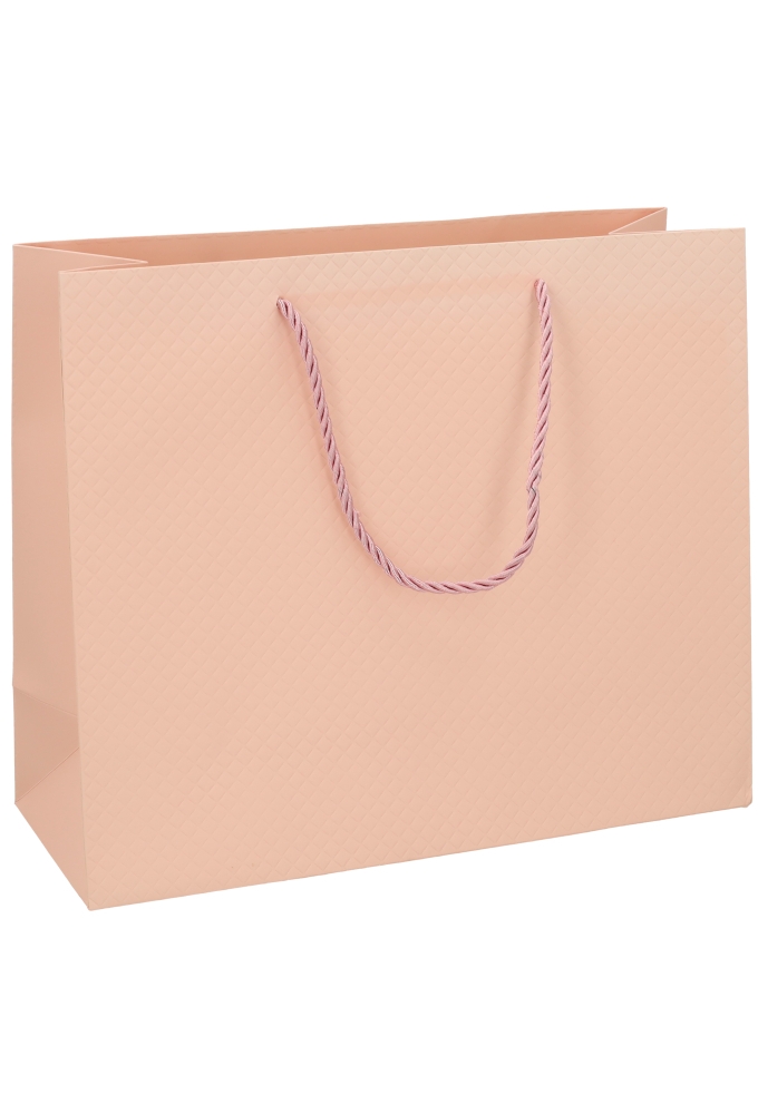 Kadotasjes Everyday Ruitje Roze 31x12x26cm 10stuks