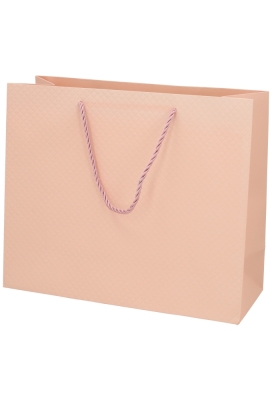 Kadotasjes Everyday Ruitje Roze 31x12x26cm 10stuks