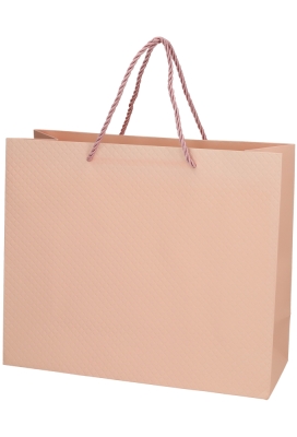 Kadotasjes Everyday Ruitje Roze 31x12x26cm 10stuks