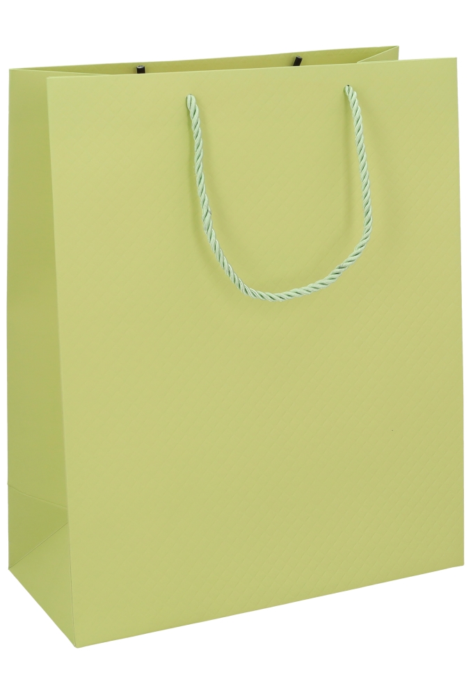 Kadotasjes Everyday Ruitje Groen 26x12x32cm 10stuks