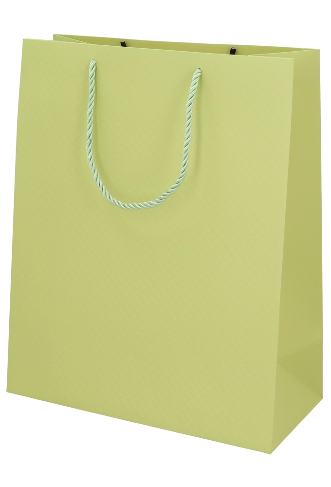 Kadotasjes Everyday Ruitje Groen 26x12x32cm 10stuks