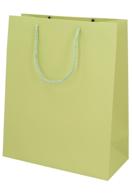 Kadotasjes Everyday Ruitje Groen 26x12x32cm 10stuks