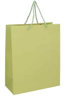 Kadotasjes Everyday Ruitje Groen 26x12x32cm 10stuks