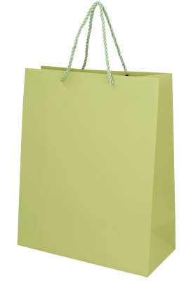 Kadotasjes Everyday Ruitje Groen 26x12x32cm 10stuks