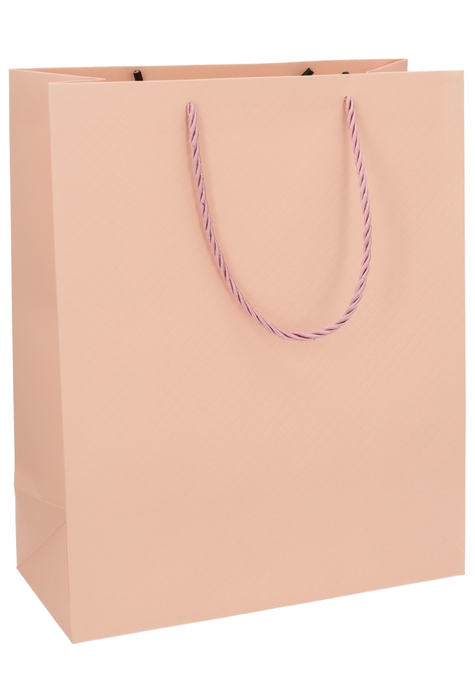 Kadotasjes Everyday Ruitje Roze 26x12x32cm 10stuks