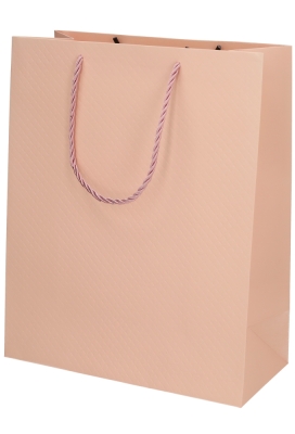 Kadotasjes Everyday Ruitje Roze 26x12x32cm 10stuks