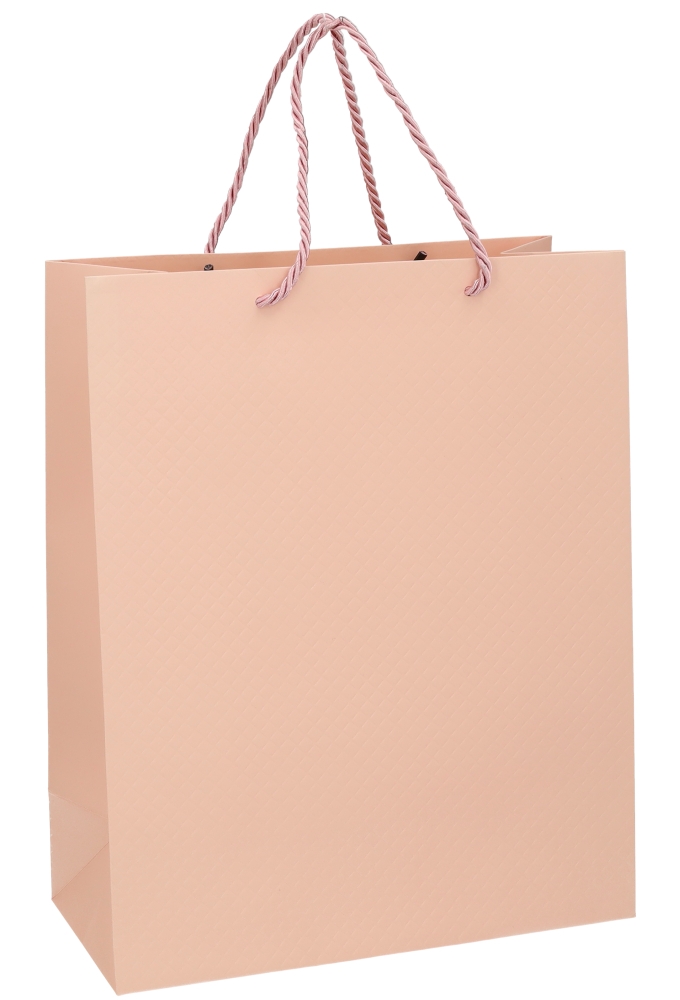 Kadotasjes Everyday Ruitje Roze 26x12x32cm 10stuks