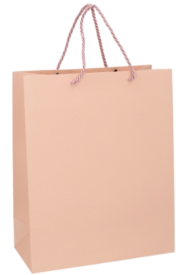 Kadotasjes Everyday Ruitje Roze 26x12x32cm 10stuks