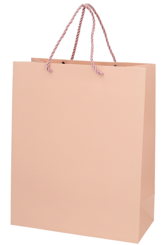 Kadotasjes Everyday Ruitje Roze 26x12x32cm 10stuks