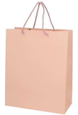 Kadotasjes Everyday Ruitje Roze 26x12x32cm 10stuks