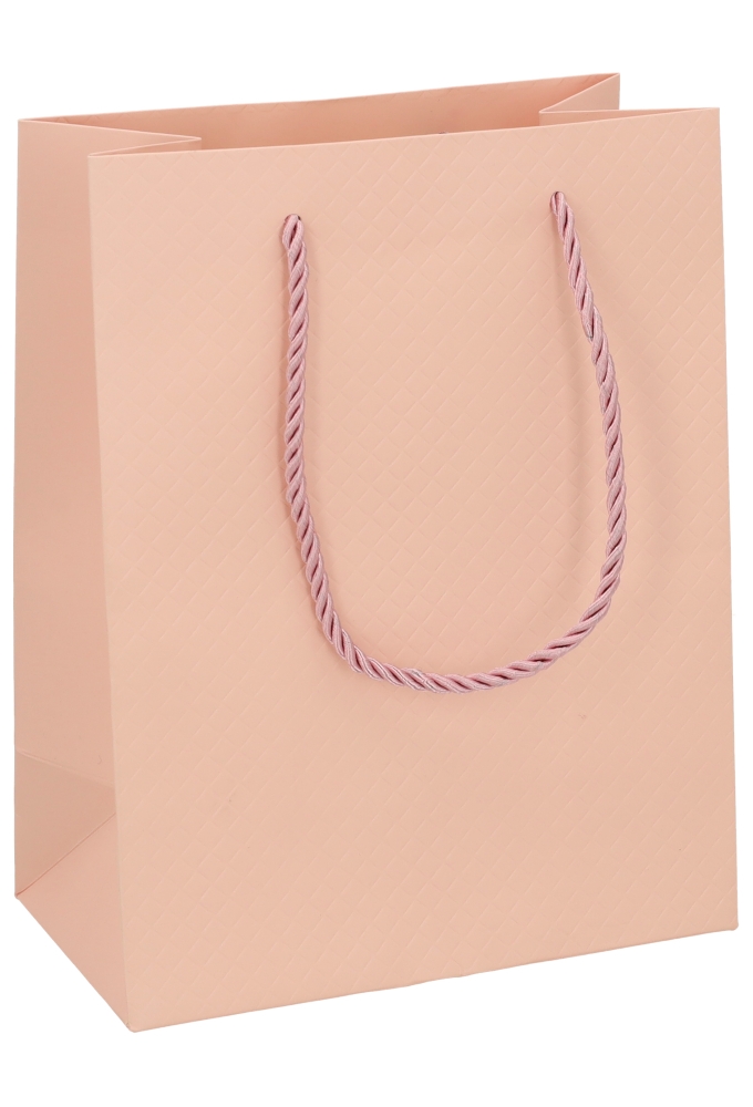 Kadotasjes Everyday Ruitje Roze 18x10x23cm 10stuks