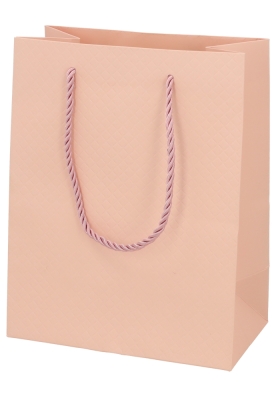 Kadotasjes Everyday Ruitje Roze 18x10x23cm 10stuks