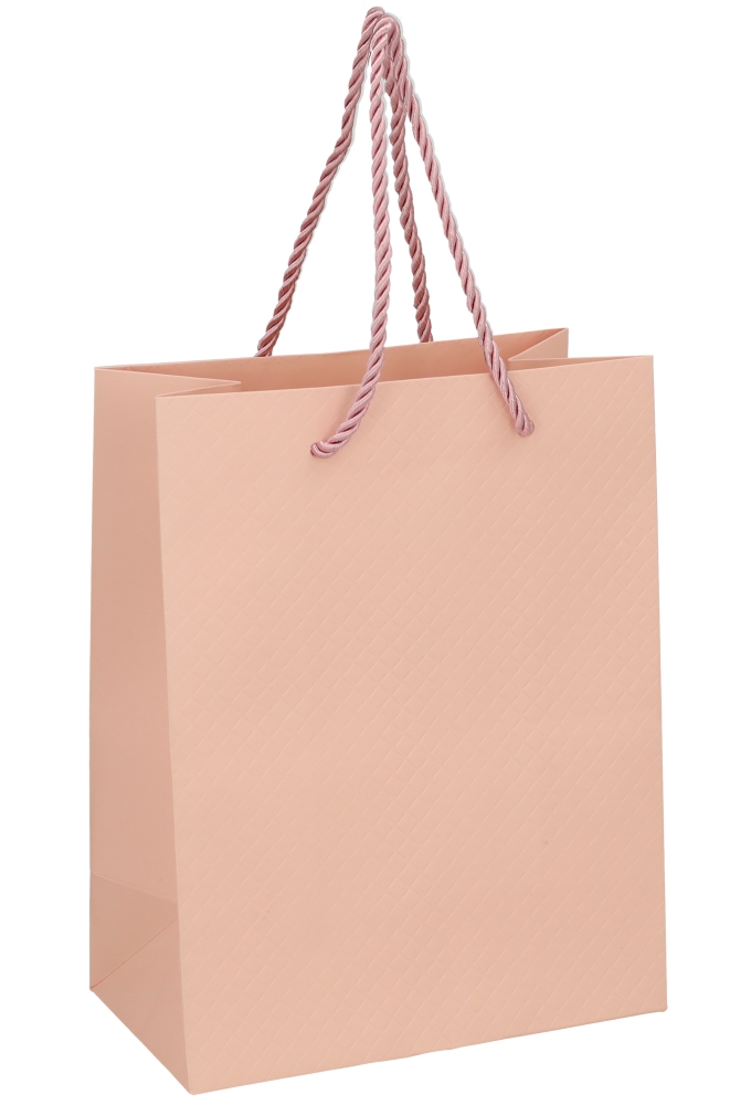 Kadotasjes Everyday Ruitje Roze 18x10x23cm 10stuks