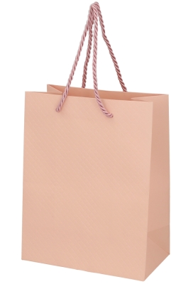 Kadotasjes Everyday Ruitje Roze 18x10x23cm 10stuks